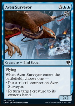 Aven Surveyor